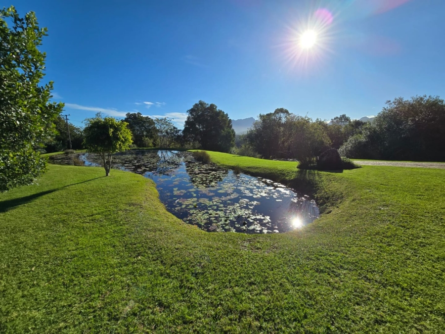 Commercial Property for Sale in Wilderness Heights Western Cape